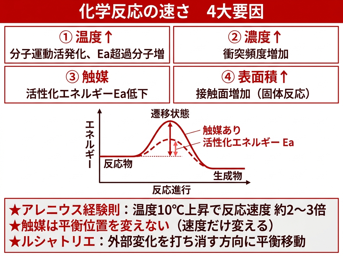 反応速度の4大要因