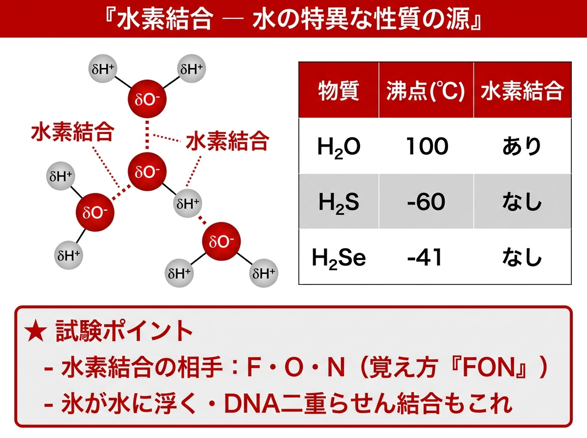 水素結合（Hydrogen Bond）──水の特異な性質
