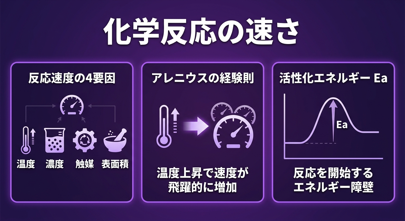 レッスン2-21:化学反応の速さ