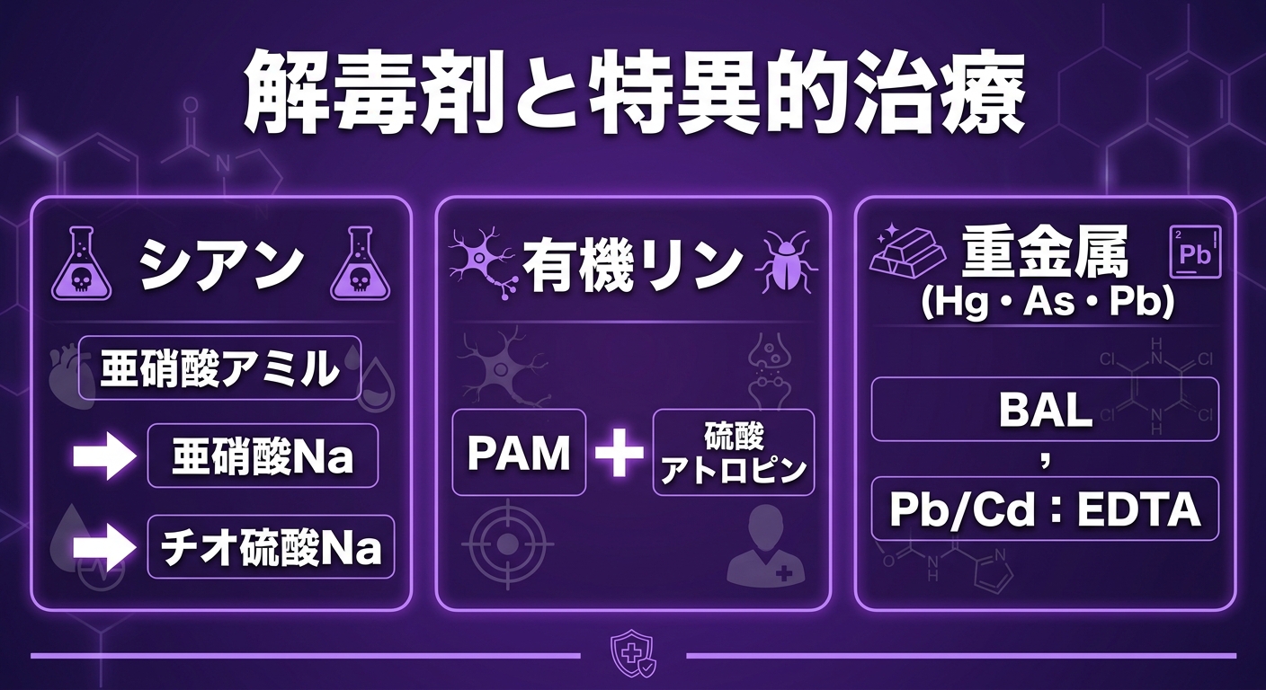レッスン3-12:解毒剤と特異的治療
