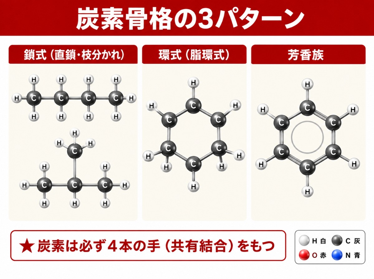 炭素骨格の3パターン（鎖式・環式・芳香族）の分子モデル
