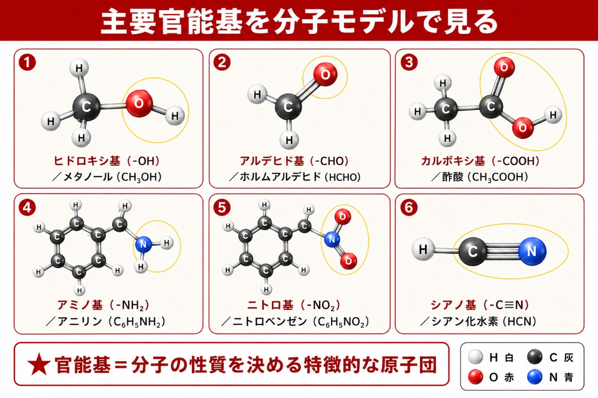 主要官能基を持つ代表的な分子のボール&スティックモデル