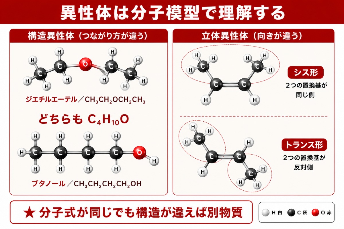 構造異性体と立体異性体の分子モデル比較