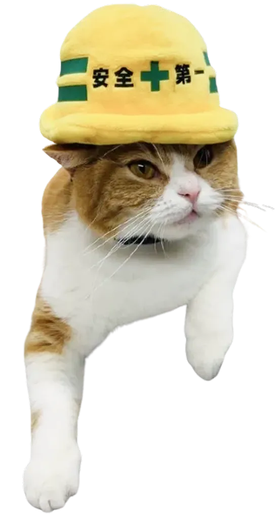 安全第一ヘルメット姿の大御所タマ王