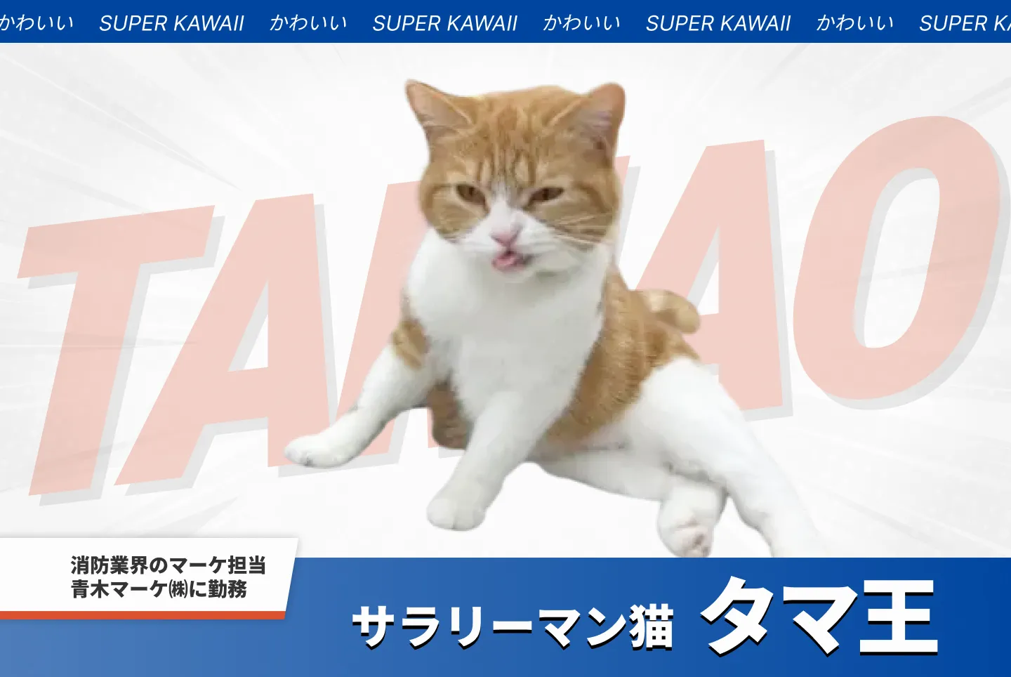タマ王 公式サイト｜サラリーマン猫｜青木マーケ株式会社