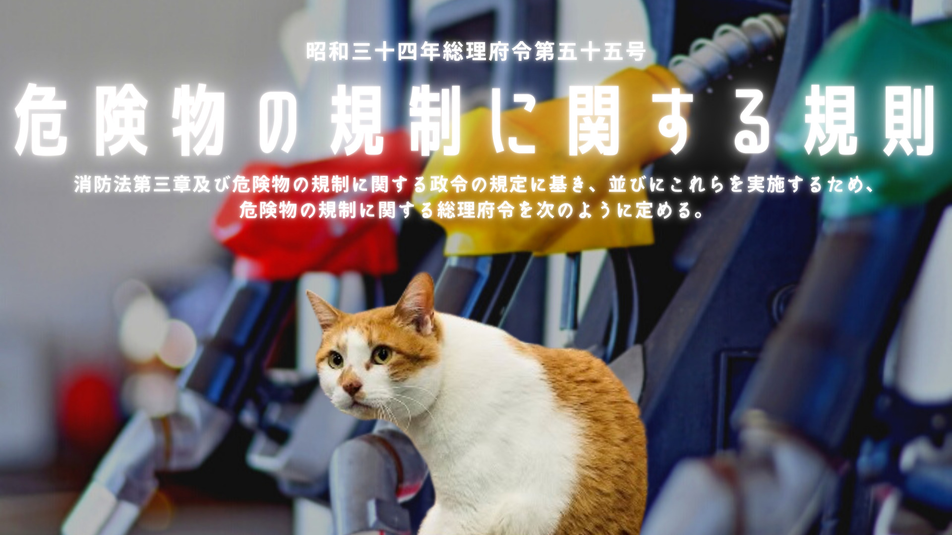 危険物の規制に関する規則