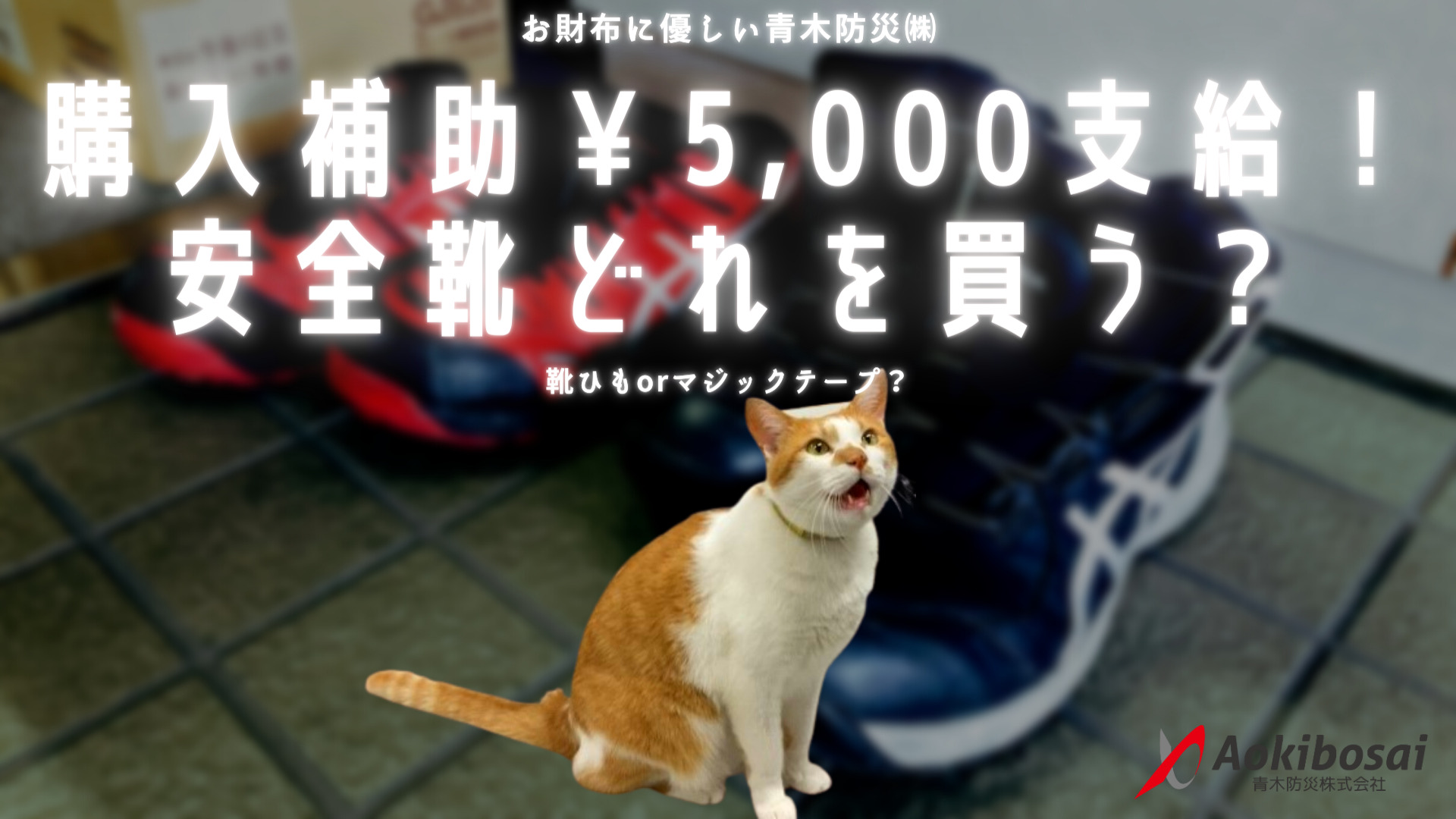 購入補助MAX￥5,000支給！安全靴どれを買う？【福利厚生】 | 青木 