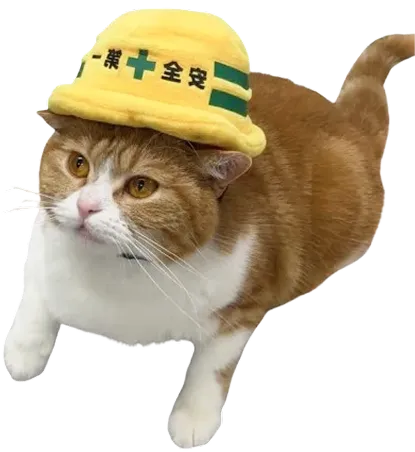 黄色い安全帽をかぶった働く気満々のタマ王