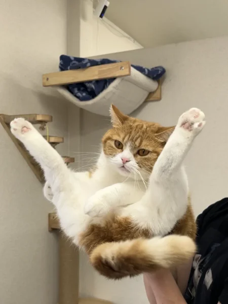 両足を大きく広げて抱えられるタマ王