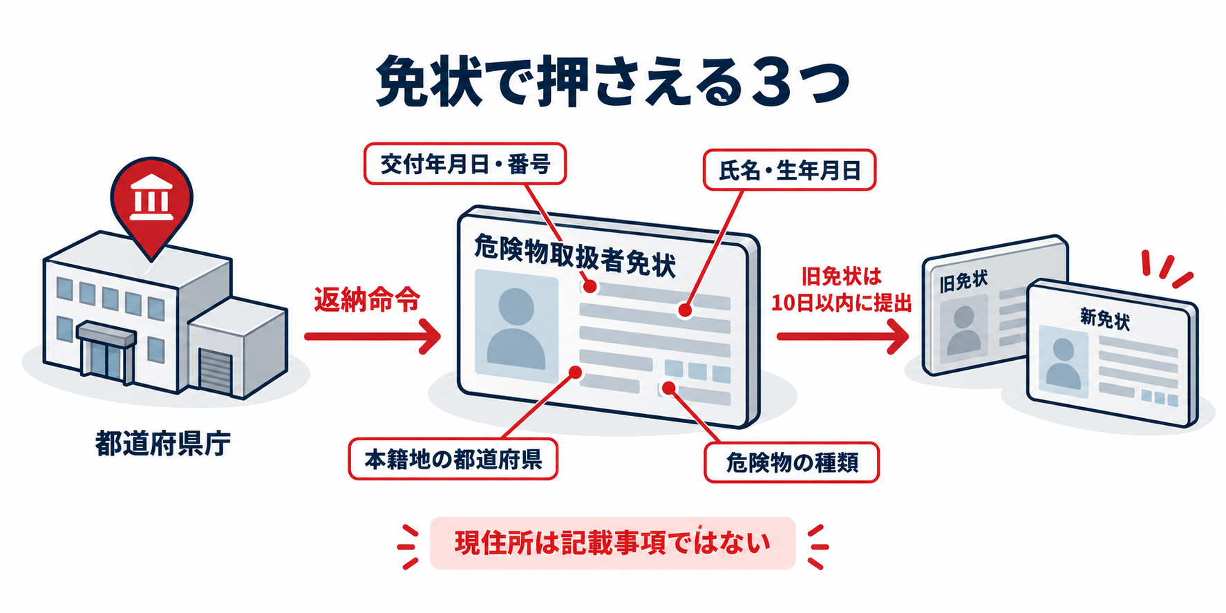 危険物：免状の権限・記載事項・再交付後の対応のアイソメ図解